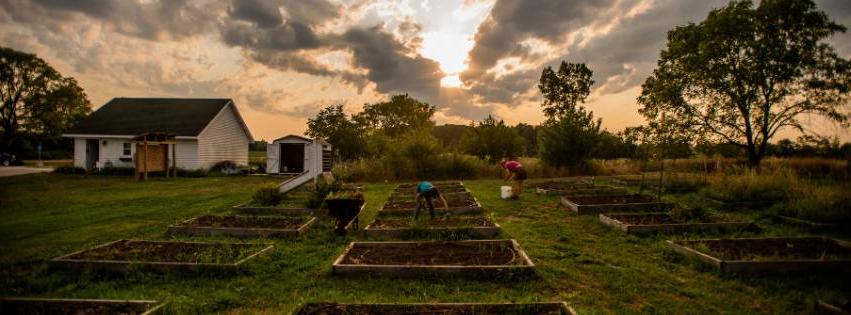 Image of raised garden boxes with the sun shining through clouds in the background.